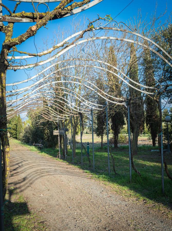 Agriturismo Le Biricoccole فادا المظهر الخارجي الصورة