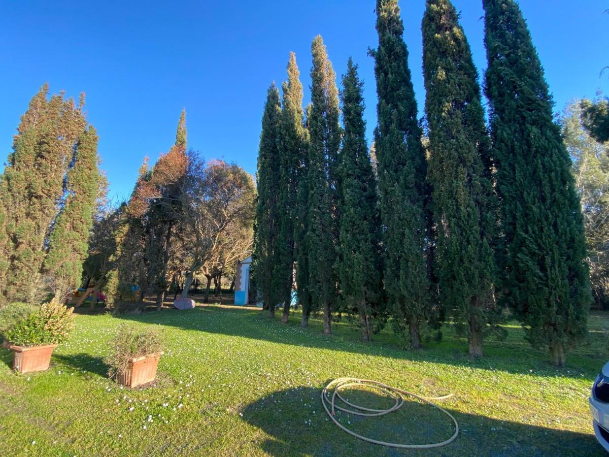 Agriturismo Le Biricoccole فادا المظهر الخارجي الصورة