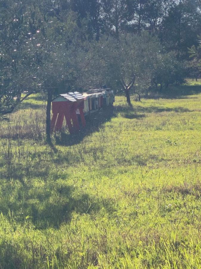 Agriturismo Le Biricoccole فادا المظهر الخارجي الصورة